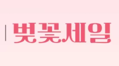 알리 4월 벚꽃세일 기간