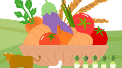 식자재 정보와 HACCP 기준